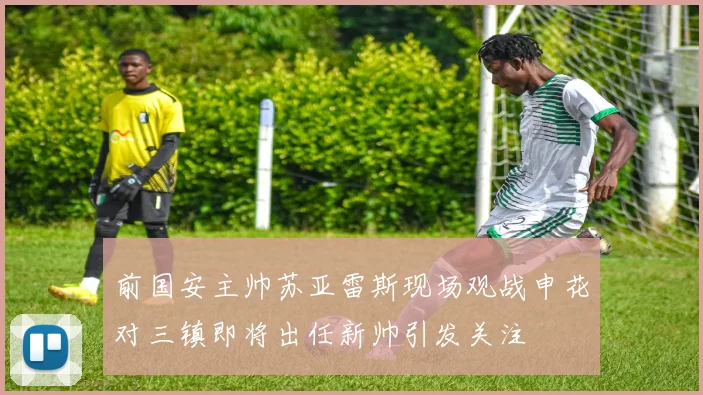 前国安主帅苏亚雷斯现场观战申花对三镇即将出任新帅引发关注